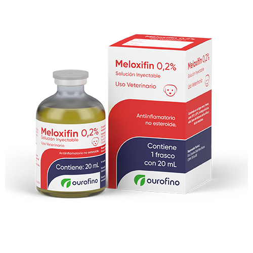 Meloxifin 0,2% Solución Inyectable