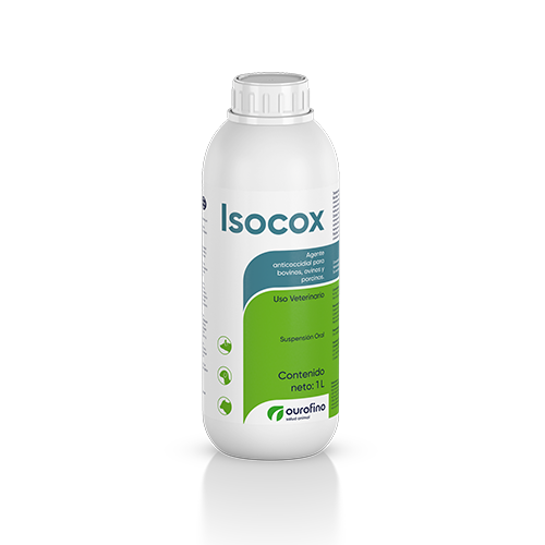 Isocox