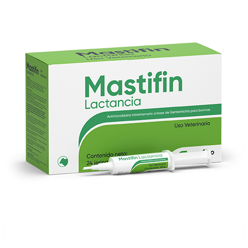 Mastifin Lactancia