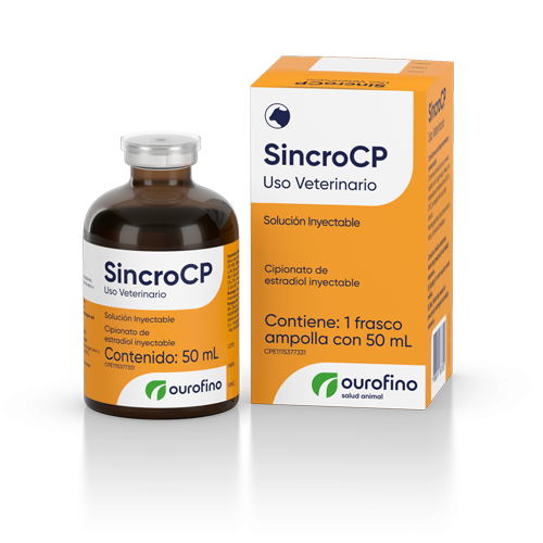 SincroCP